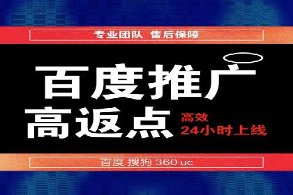 百度运营推广策略解析，看这些成功案例